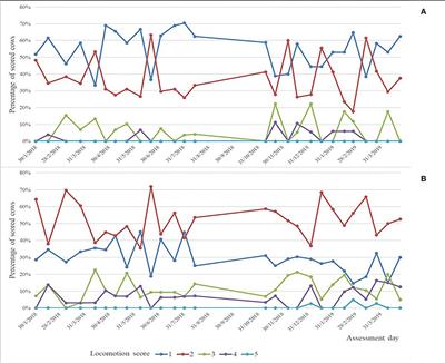 Effect of lameness on feeding behavior of zero grazed Jersey dairy cows